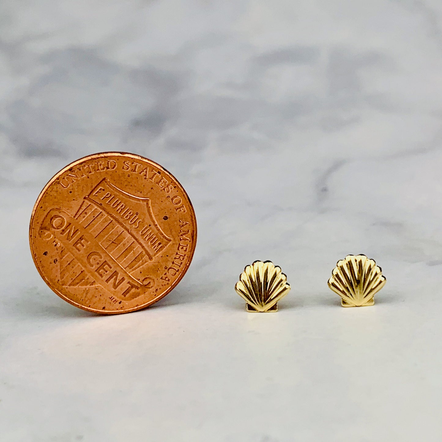 14K Yellow Gold Seashell Stud / Shell Earrings - Solid Gold